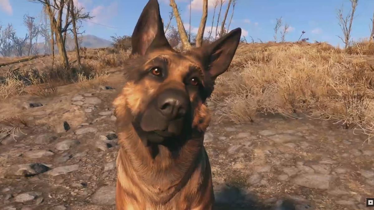 Xboxはfallout4からdogmeatを記念して 10 000を慈善団体に寄付しますfallout4 Ja Atsit