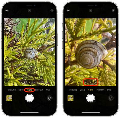 Iphone 13 Pro マクロ撮影の撮影方法 Ja Atsit