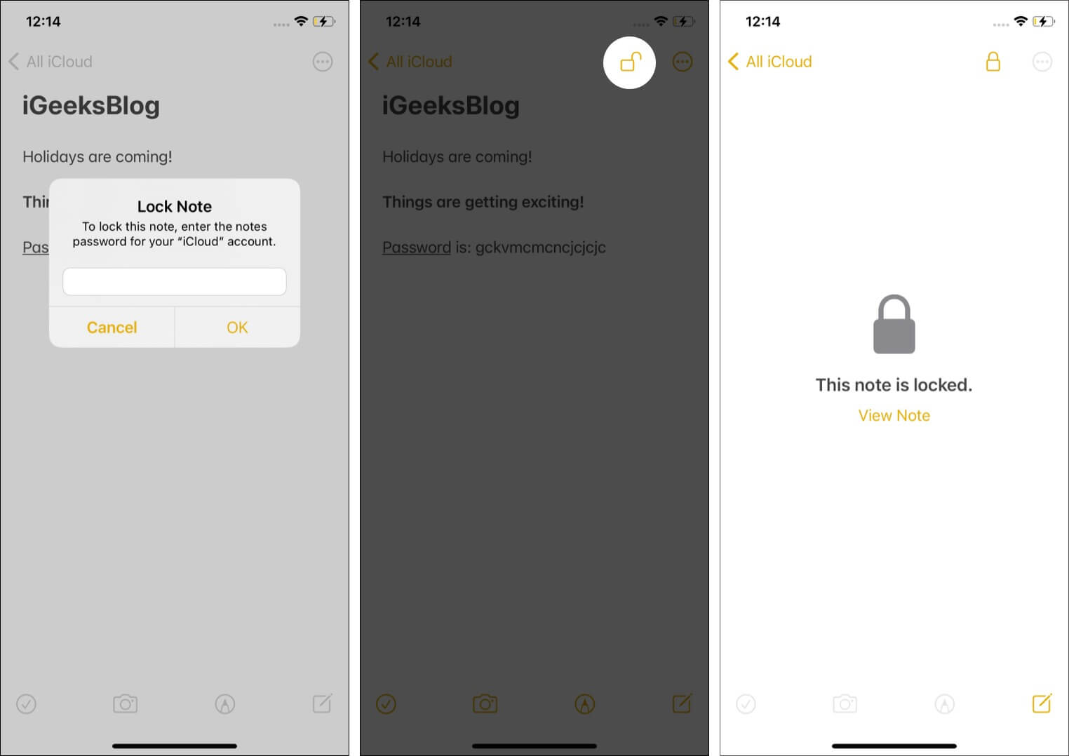 Voer het wachtwoord van de Notes-app in en tik op Open Lock Icon