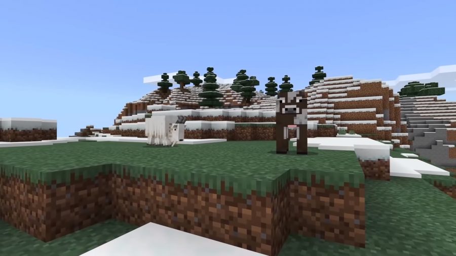 minecraft-goat-charge Een geit in Minecraft rent naar een koe die zich niet bewust is van de dreigende pijn.