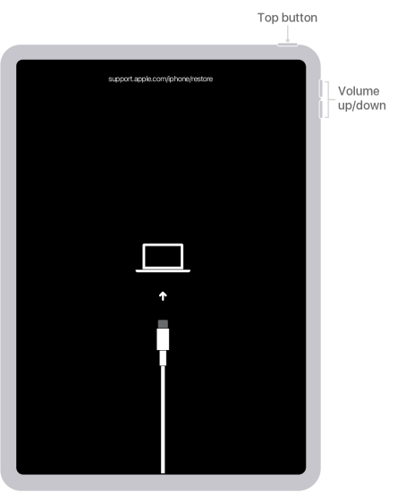 herstel uitgeschakeld iPad Face ID