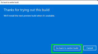 Klik Ga terug naar eerdere build