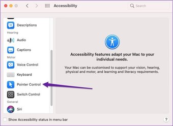 Mac pointer control toegankelijkheid