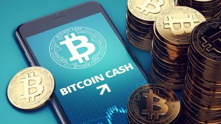 Top cryptocurrency — Bitcoin Cash