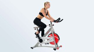 najlepsze rowery treningowe: rower stacjonarny Sunny Health & Fitness