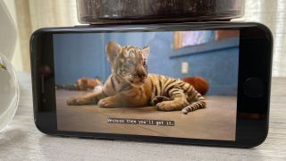 Recenzja iPhone'a SE: kolory wyświetlania