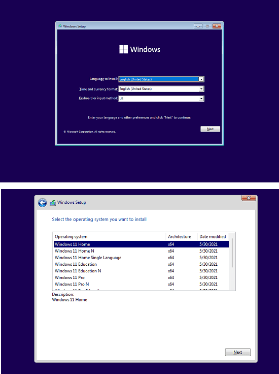 Windows 11 Select Edition