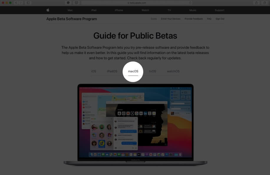 на экране общедоступных бета-версий выберите вкладку macos