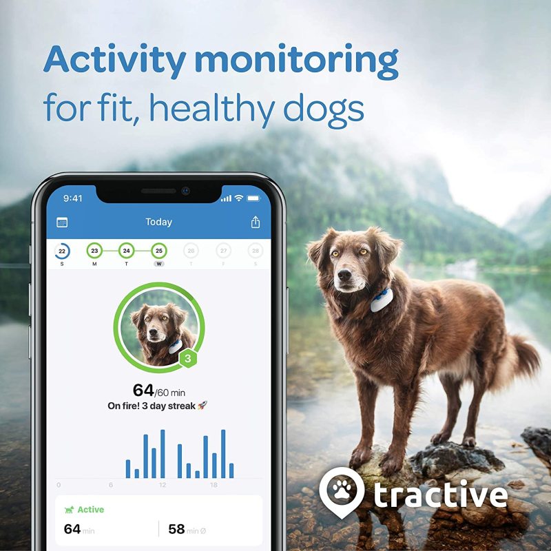 Tractive LTE GPS Dog Tracker