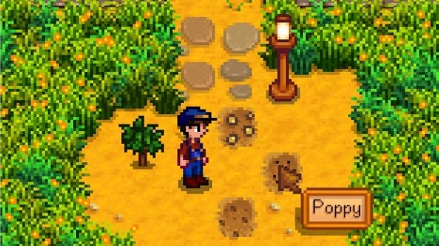 stardew valley crop identifier