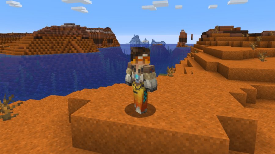 Minecraft skins Tracer
