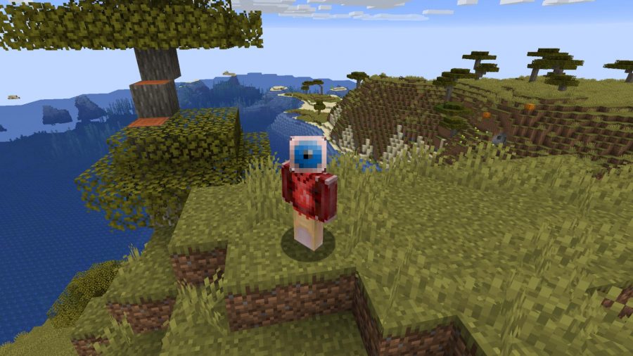 Minecraft skins Transplant