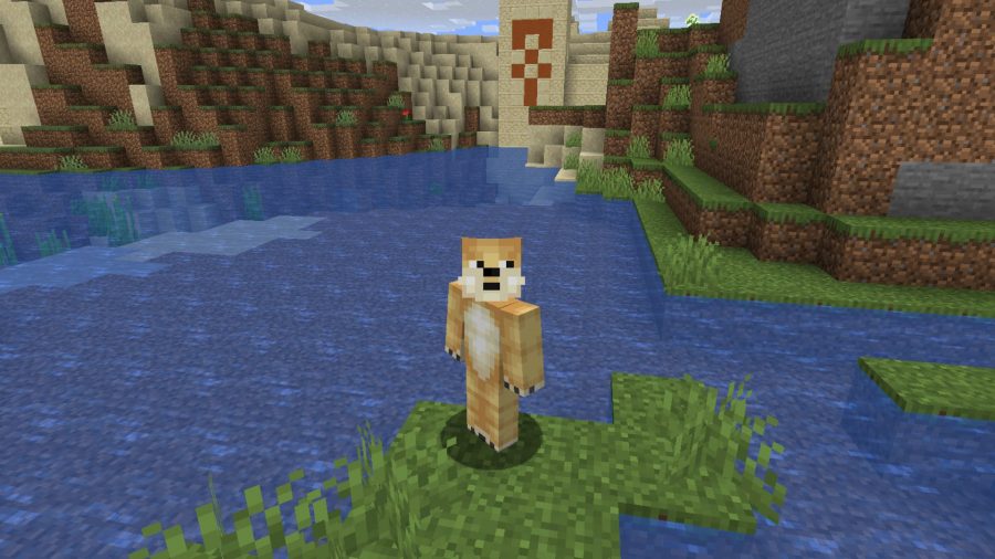 Minecraft skins Doge