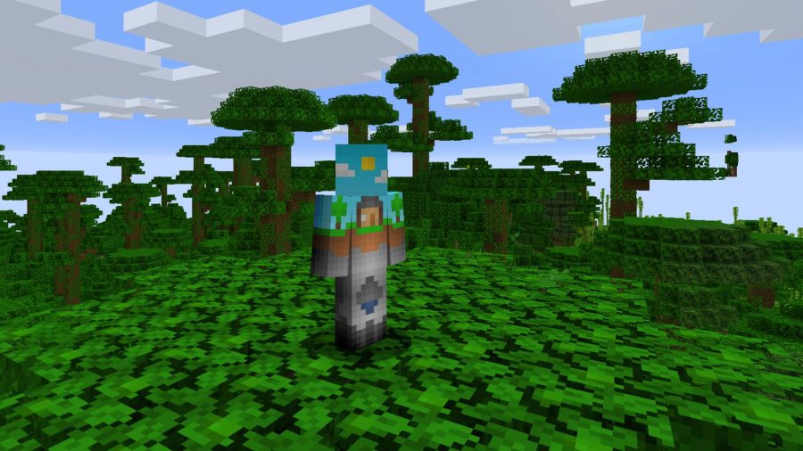 Minecraft skins over world
