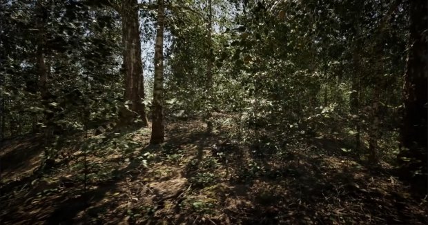 Unreal Engine 5 ray traced forest map จะละลายดวงตาและพีซีของคุณ 02 | TweakTown.com