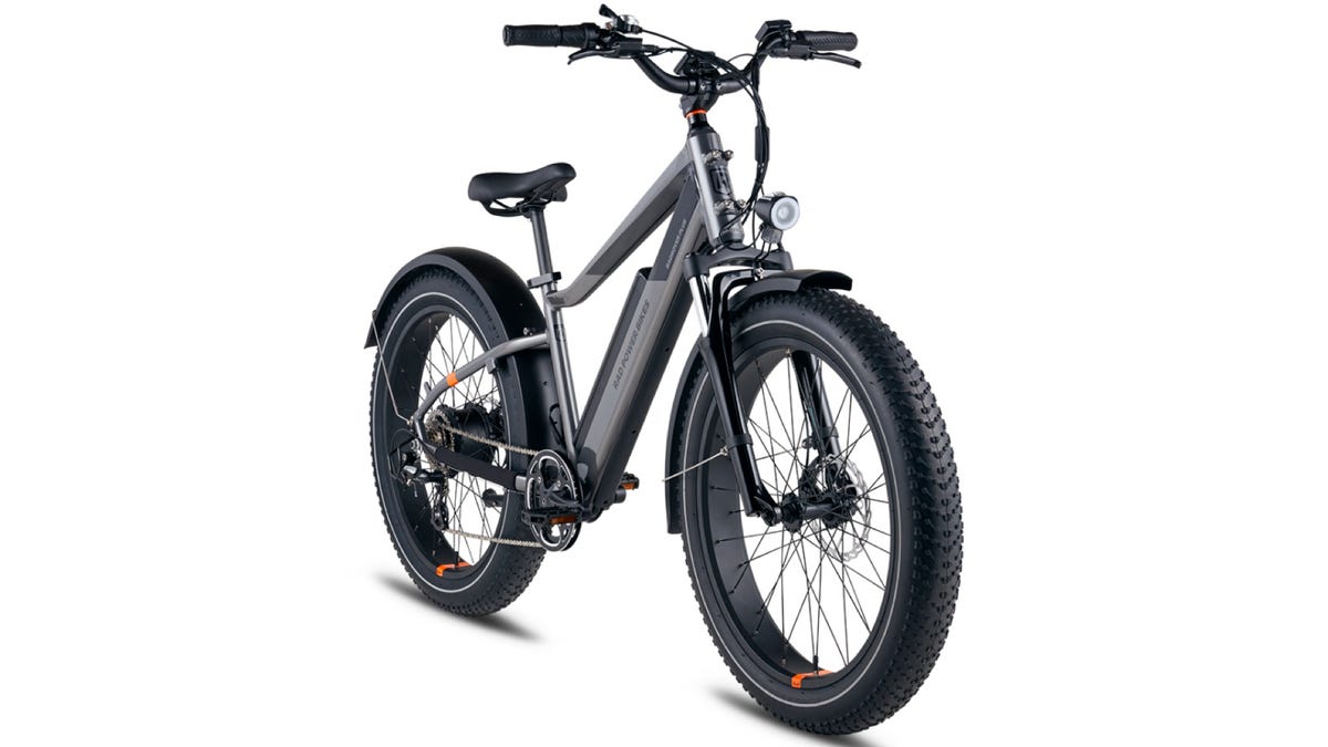 RadRover 6 Plus ebike