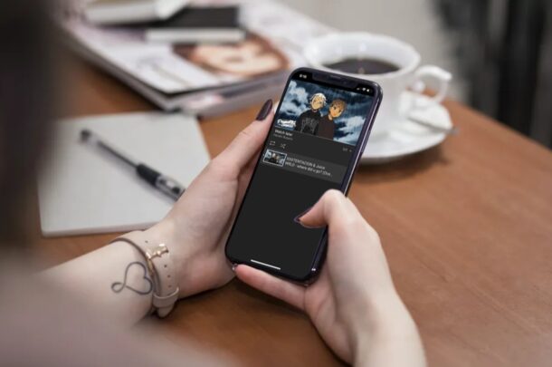 วิธีการวนซ้ำวิดีโอ YouTube บน iPhone และ iPad