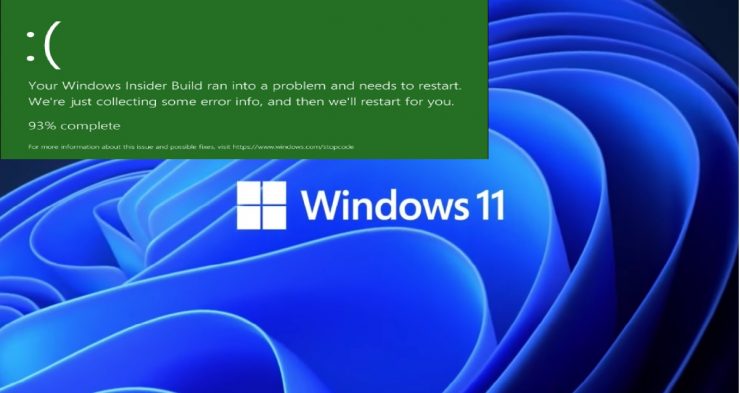 Windows 11 Error