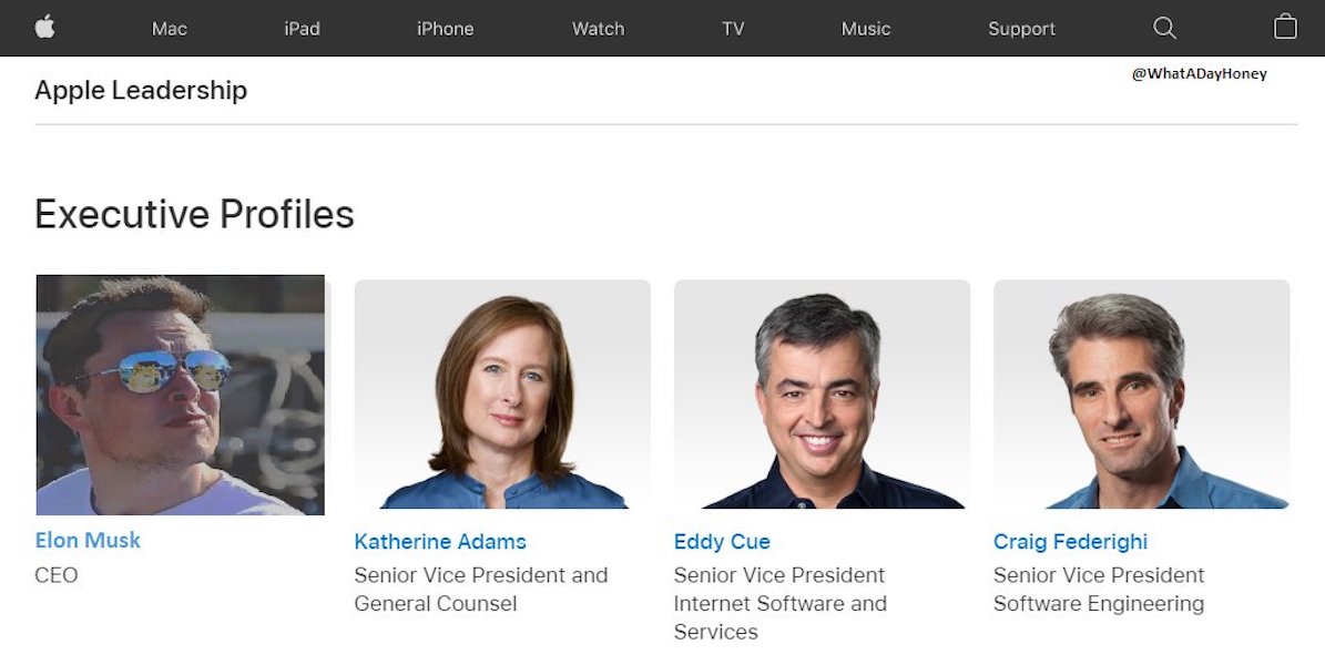 tim cook