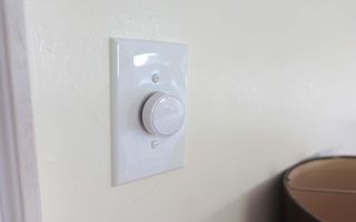 Best smart light switches: Lutron Aur ora