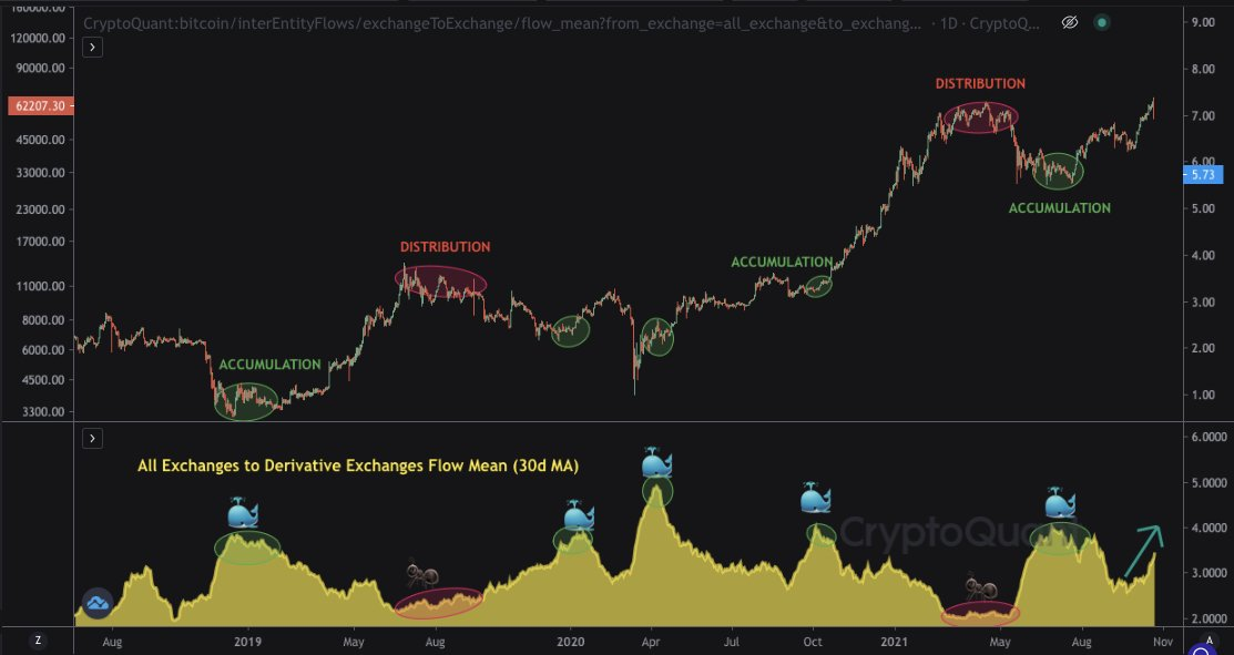 สัญญาณ Bitcoin Bullish: วาฬกำลังสร้างตำแหน่งบนอนุพันธ์ - TH Atsit