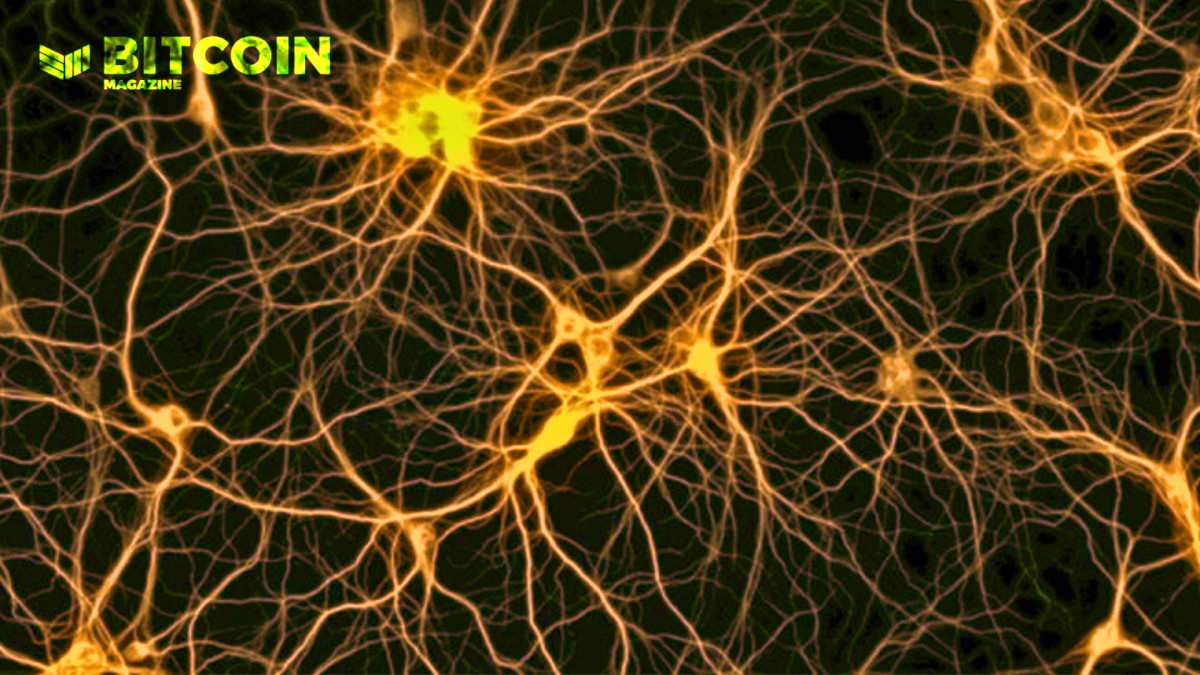 Bitcoin Startup Amboss เปิดตัว Lightning Liquidity Marketplace TH Atsit