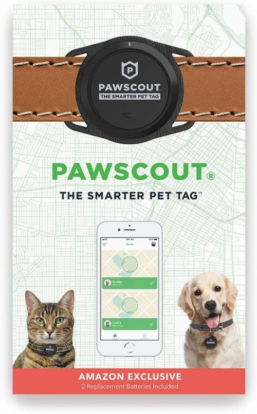 Pawscout Thẻ thú cưng thông minh hơn