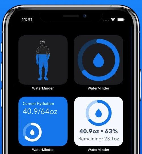 Tiện ích con iOS 14 của bên thứ ba WaterMinder