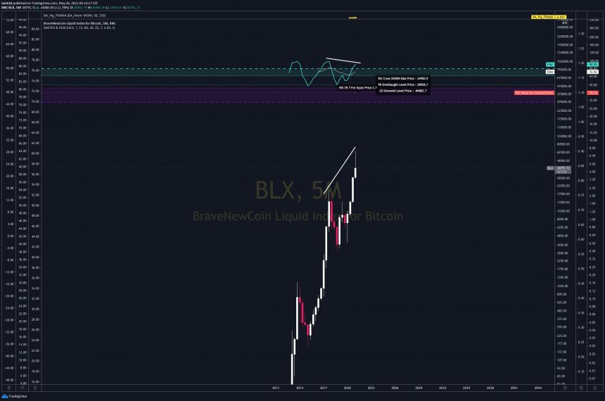 bitcoin bear market RSI