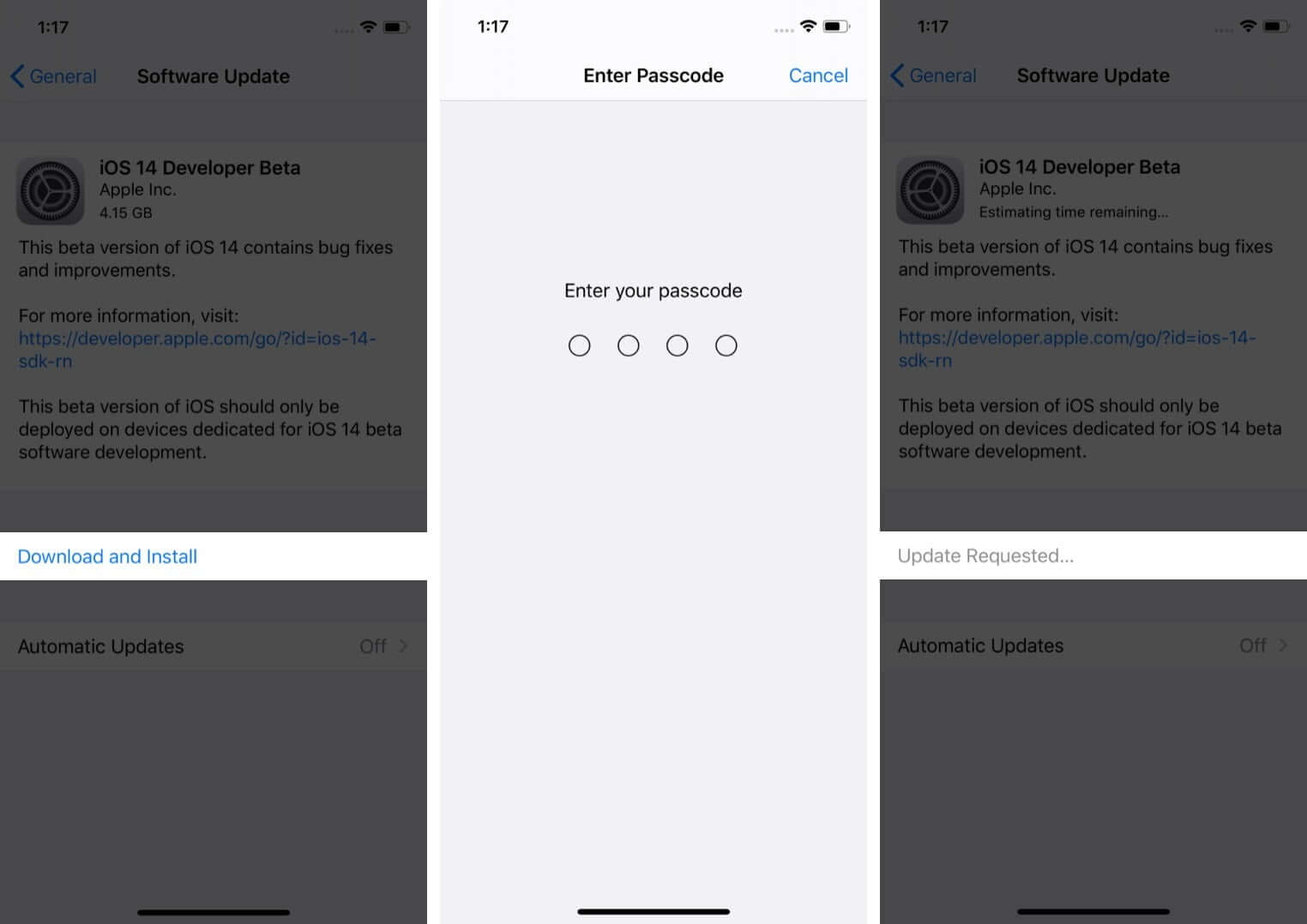 tải xuống và cài đặt cấu hình iOS 14 beta trên iphone