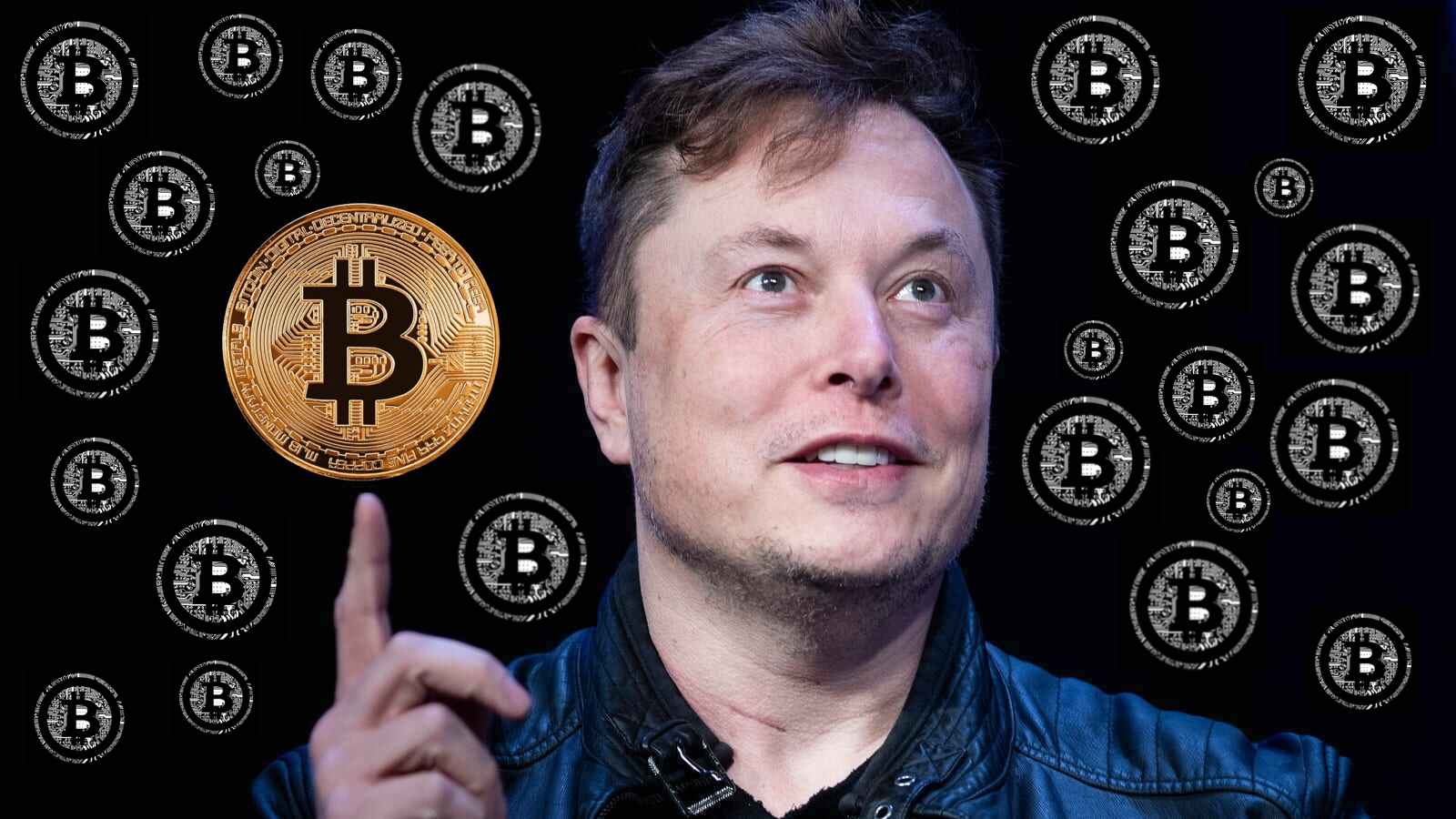 Elon Musk so với Bitcoin-Một cuộc thập tự chinh vị tha hay một sự phô trương sức mạnh? - VI Atsit