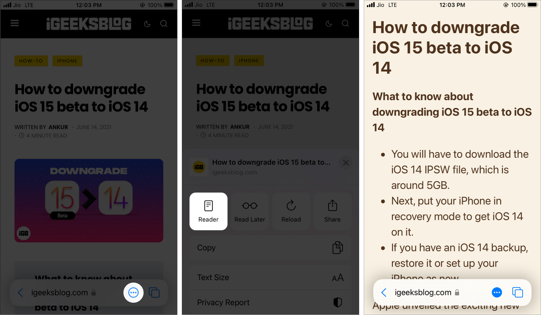 Chế độ Safari Reader trong iOS 15