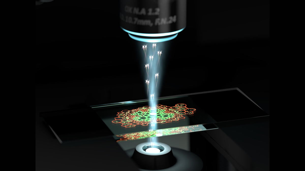 Hình minh họa kính hiển vi lượng tử kiểm tra các tế bào.