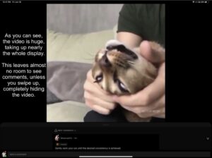 New-Reddit-UI-iPad-Landscape-mode