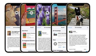 tra cứu trực quan ios 15