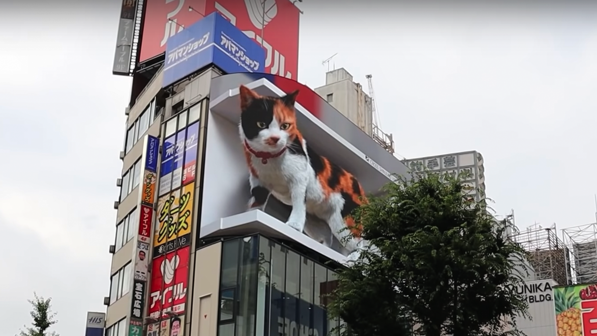 Bảng ghép hình mèo 3D ở Tokyo.