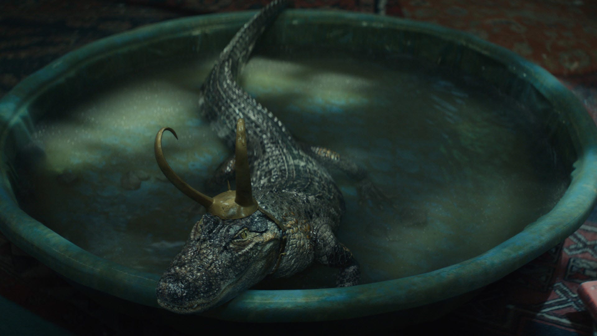 An Alligator Loki