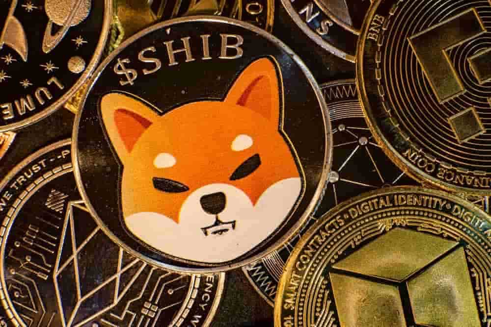 To the Moon: Shiba Inu (SHIB) Cuối cùng cũng đạt mức giá cao mới mọi thời  đại-Mức giá 1 cent có tiếp theo? - VI Atsit