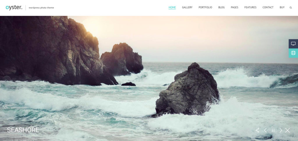 Oyster photography theme