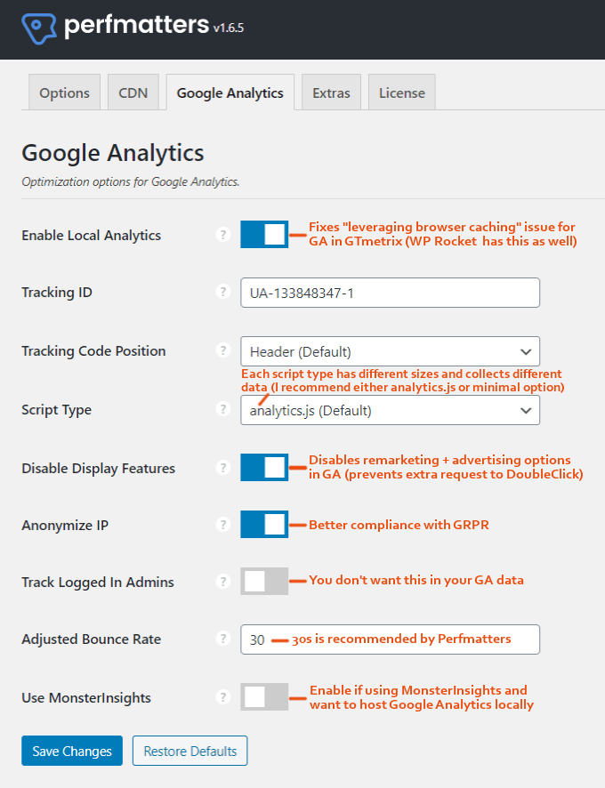 Perfmatters-Google-Analytics-Settings