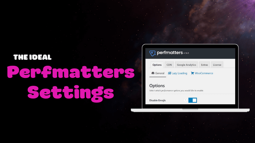 Perfmatters-Settings