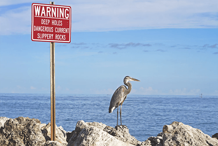 warning-sign-at-beach