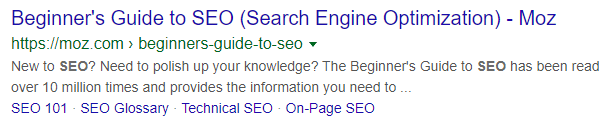 SEO search snippet