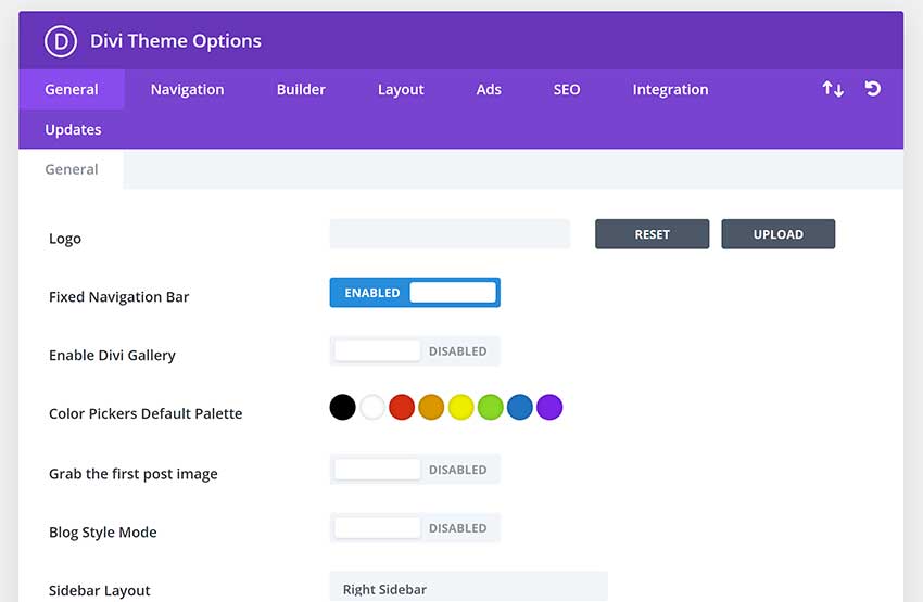 Divi Theme Options