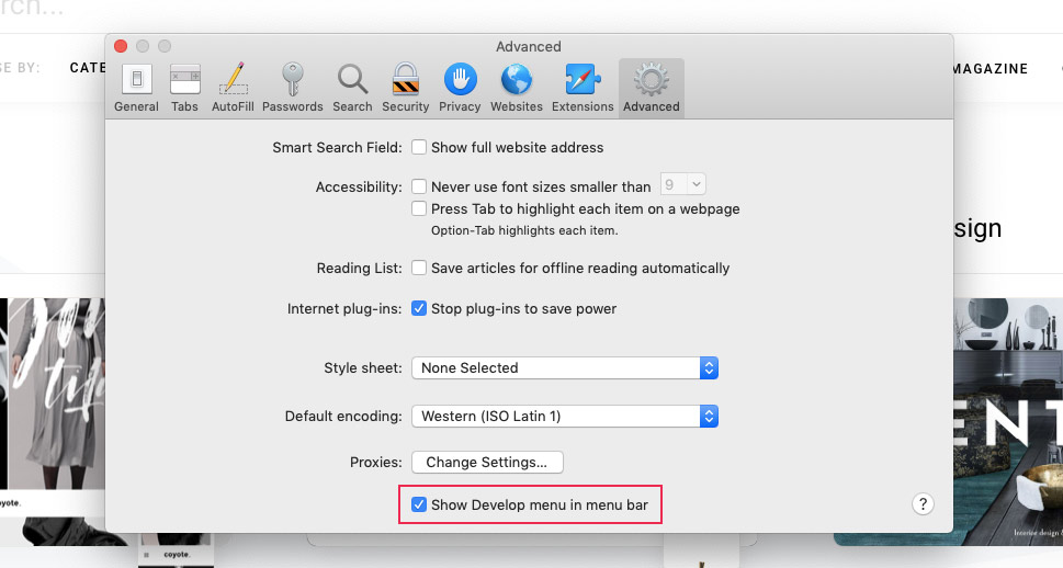 Mostrar menu de desenvolvimento