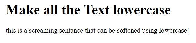 transform: lowercase