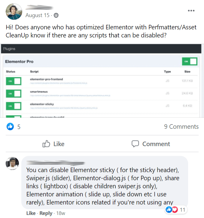 Remover Elementor CSS JavaScript
