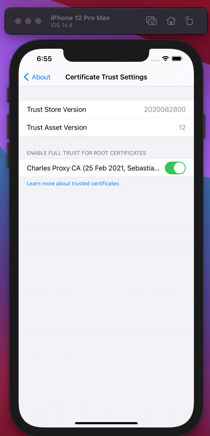 Charles Root Certificate Trust Settings iOS Simulator