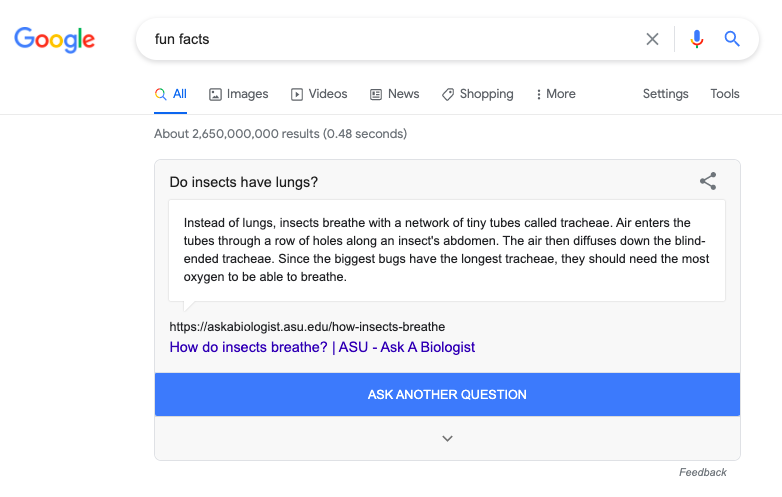 Curiosidades Google Easter Egg