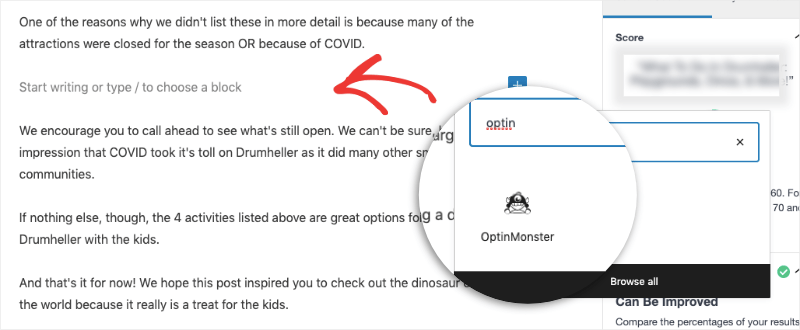 optinmonster em um bloco gutenberg